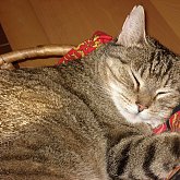 nap