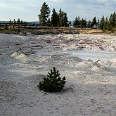 mud sea