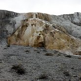 Minerva