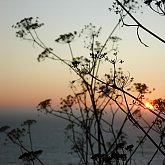 Sunset Big Sur III