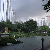 Bangkog