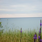 Lakeshore