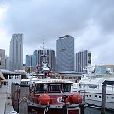 Miami fire fighters