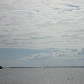 Dolphins at Cape Canaveral