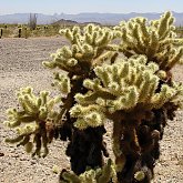 ...on the way to Kingman...