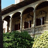 Palma
