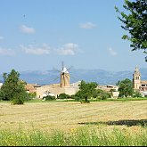 wind mill