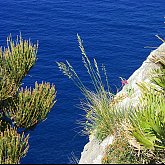 ...at the edge
