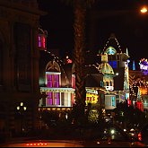 Night life