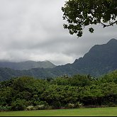 Kaneohe