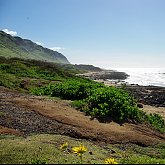 North Shore