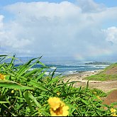 North Shore rainbow