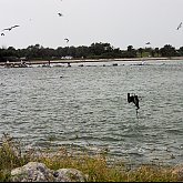 Speed diving