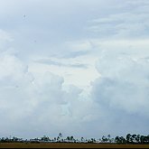 Everglades