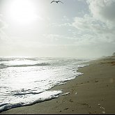Morning walk