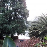 Joburg