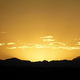 Shades of gold