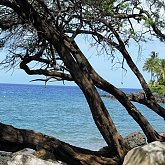 Wailea