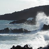 Splash