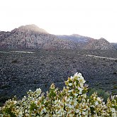 Red Rock