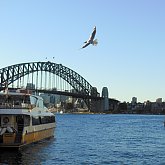 Harbour