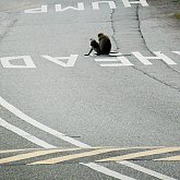 quite a hump ;-)