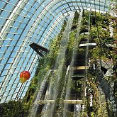 European "tropical" garden