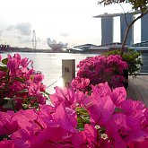 Sunrise Marina Bay