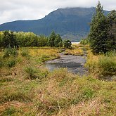 Mendenhall Glacier National Park